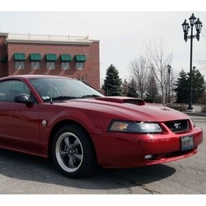 Meet your Posher, Jerry